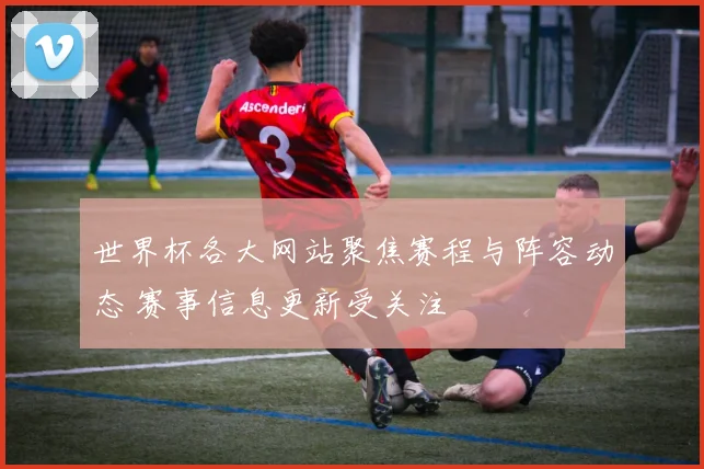 世界杯各大网站聚焦赛程与阵容动态 赛事信息更新受关注