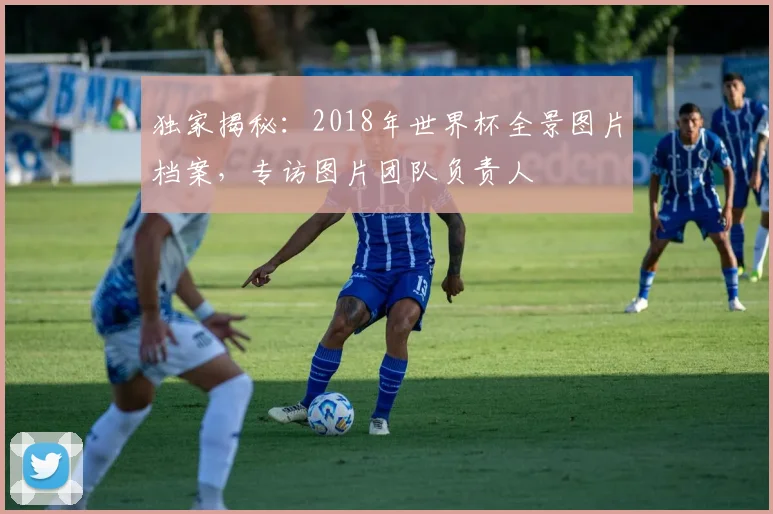 独家揭秘:2018年世界杯全景图片档案,专访图片团队负责人