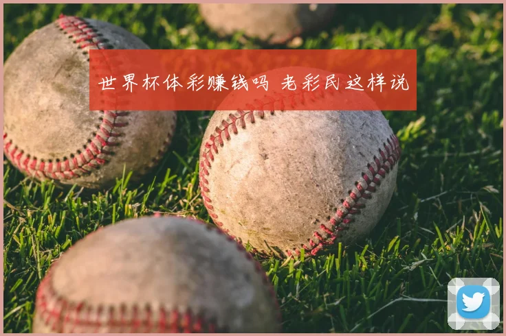 世界杯体彩赚钱吗 老彩民这样说